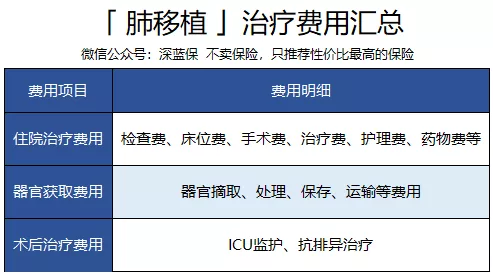 12_wps图片.png