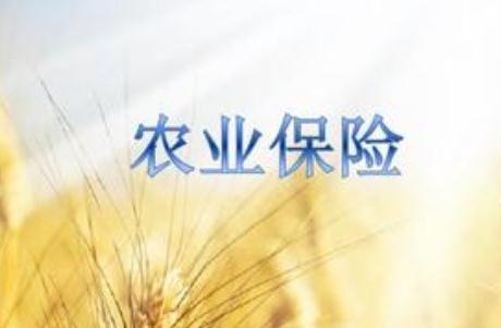 福建省首例市级农业气象巨灾指数保险项目在莆田落地