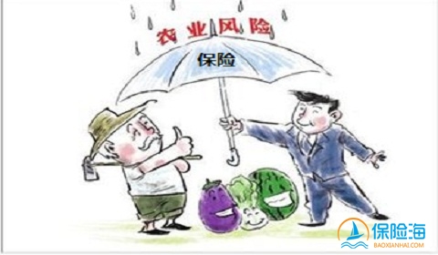 首届中国农民丰收 农业发展离不开农业保险