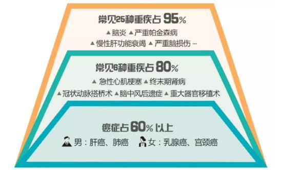 重疾范围.jpg