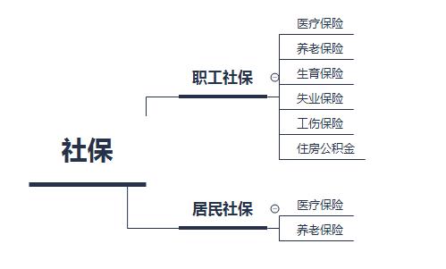 社保体系.jpg
