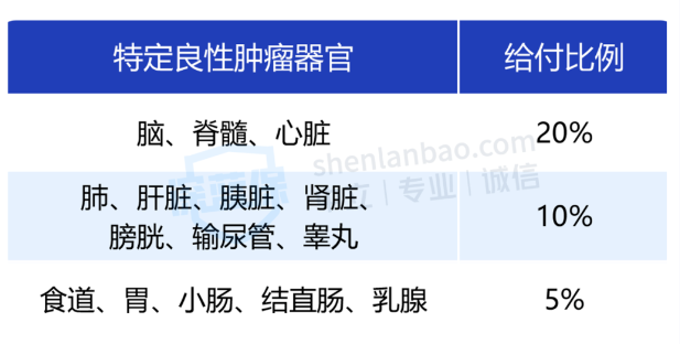 深挖满天星五大优势,这款重疾险太强了!