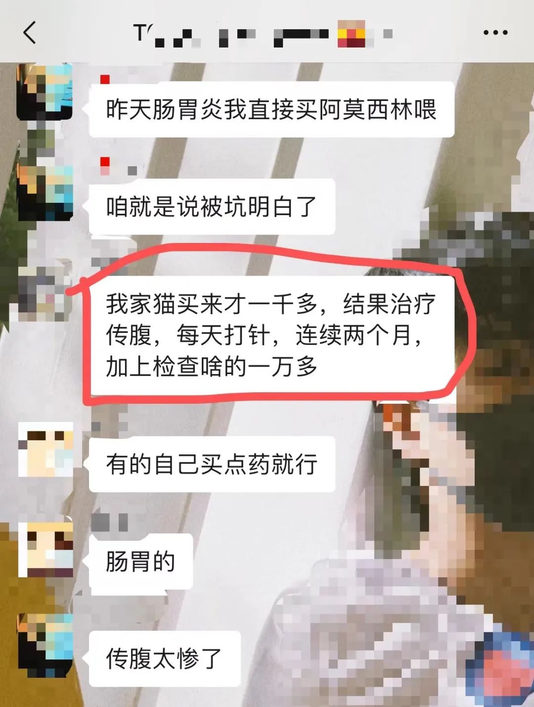 毛孩子看病贵？宠物保险：铲屎官“减负”良方